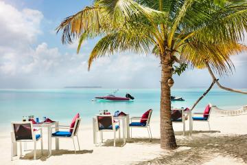 Отель Sun Siyam Vilu Reef Мальдивы, Даалу Атолл, фото 13