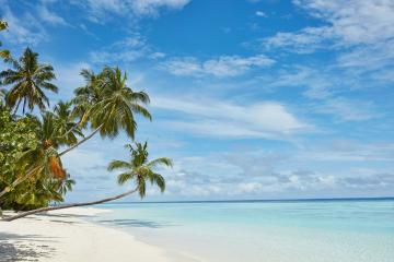 Отель Sun Siyam Vilu Reef Мальдивы, Даалу Атолл, фото 29