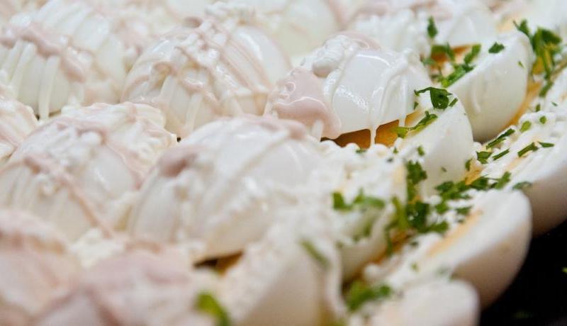 Spring Hotel Vulcano