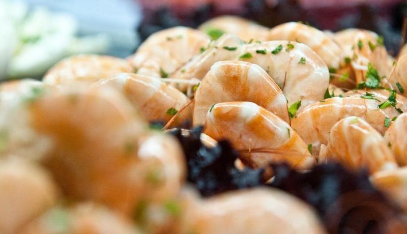 Spring Hotel Vulcano