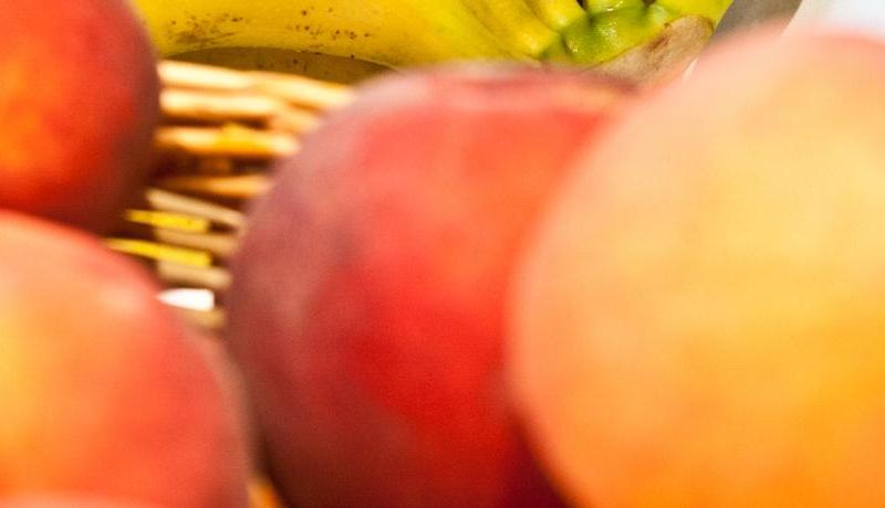 Spring Hotel Vulcano