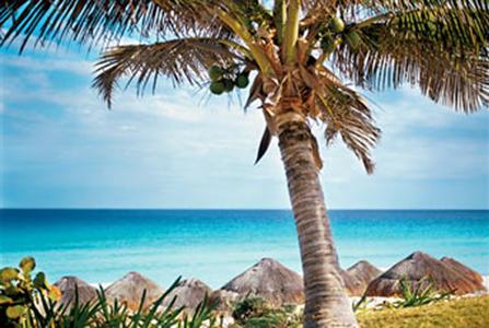 The Westin Resort & Spa