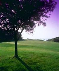 Отель Westin Resort Macau Китай, Макао, фото 14