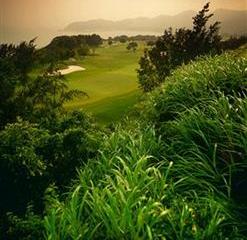 Отель Westin Resort Macau Китай, Макао, фото 15