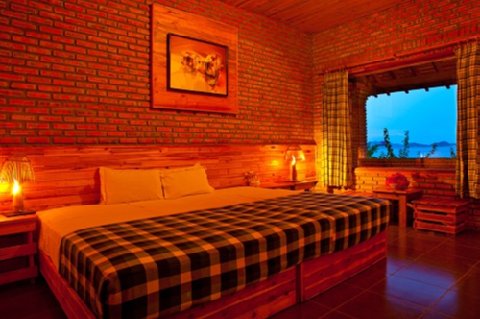 Wild Beach Resort & Spa