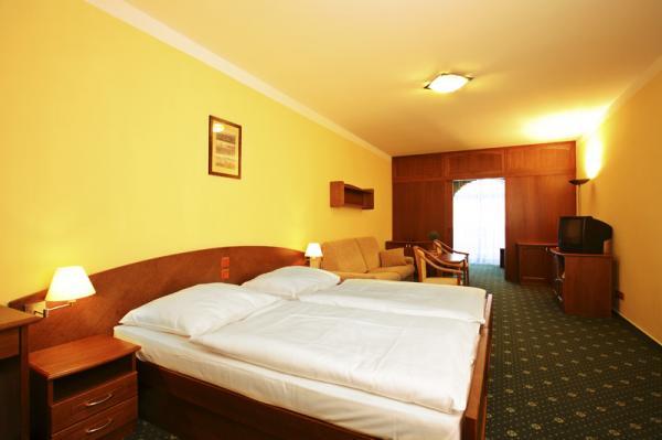 Welness Hotel Windsor