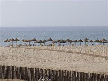 Yadis Morjan Tabarka