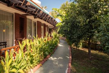 Отель Zena Resort Hotel Турция, Чамьюва, фото 49