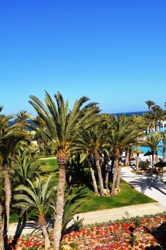 Отель Zita Beach Тунис, Зарзис, фото 23