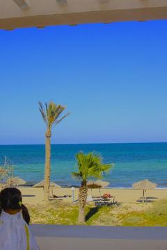 Отель Zita Beach Тунис, Зарзис, фото 8