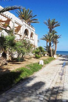 Отель Zita Beach Тунис, Зарзис, фото 9