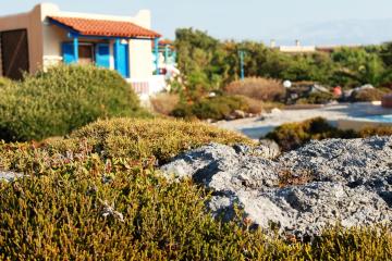 Отель Zorbas Beach Village Греция, о. Крит-Ханья, фото 39