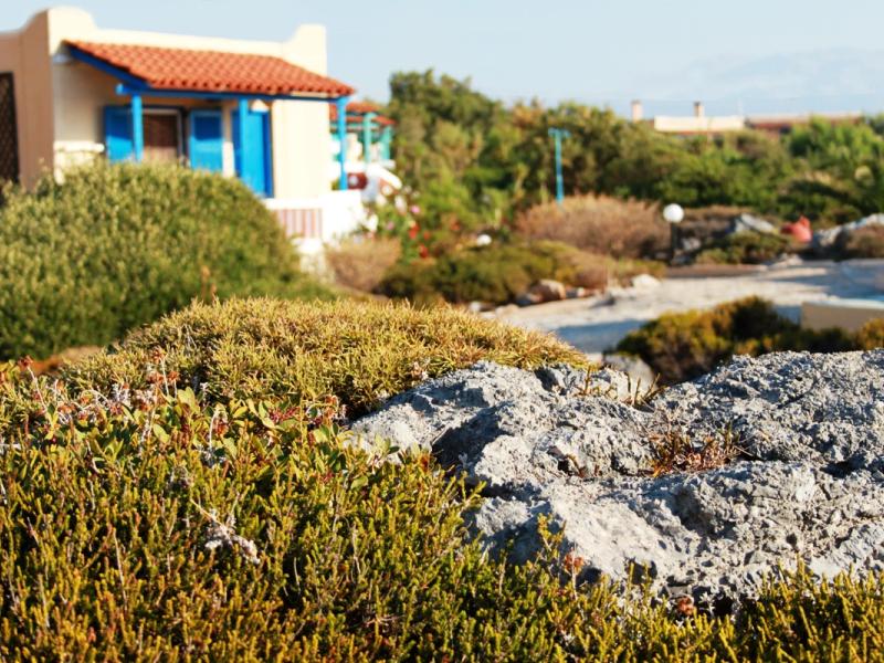 Zorbas Beach Village