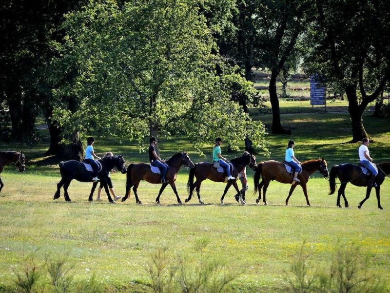 Hotel Zorna Plava Laguna