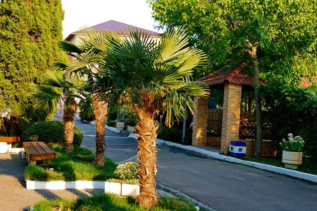 Автотранспортник России