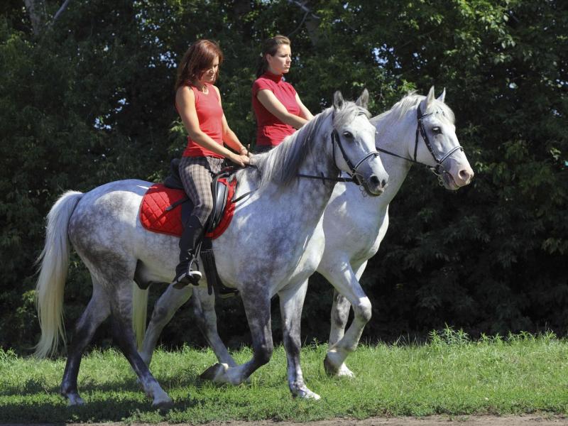 Сусанин Парк Отель