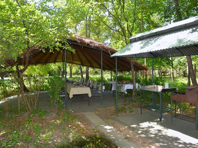 Парк-отель VE art resort