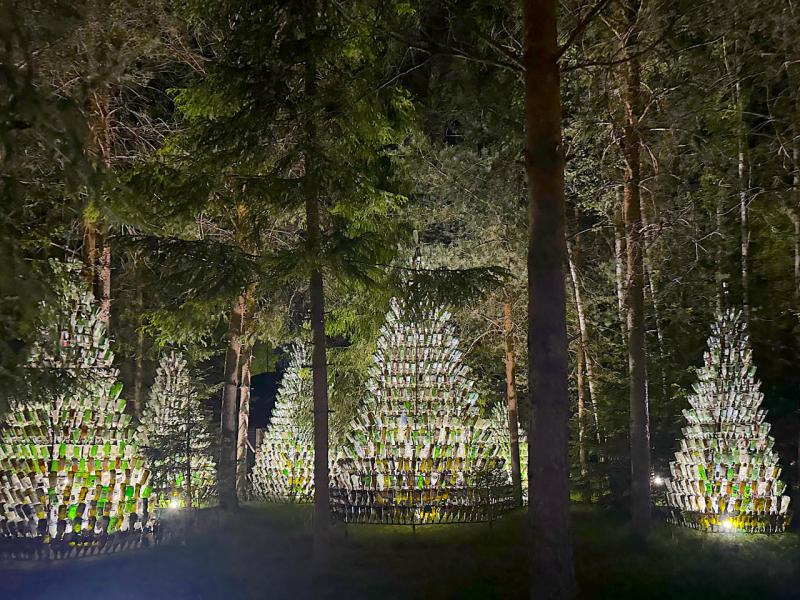 Парк-отель VE art resort