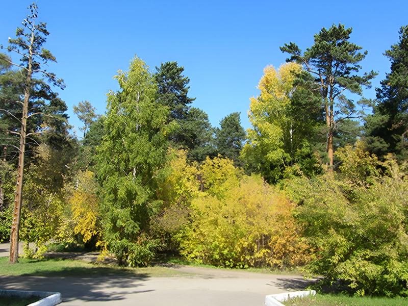 Курорт Ангара 