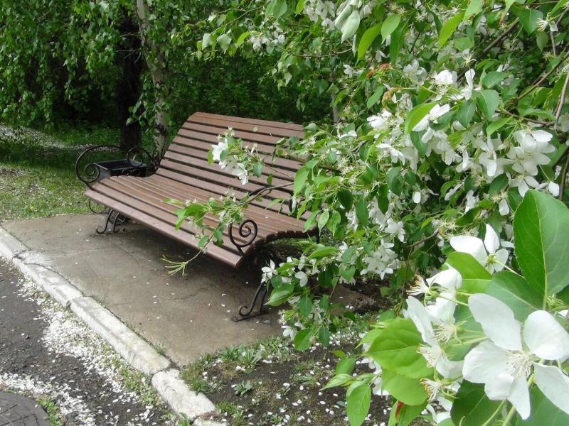 Курорт Ангара 