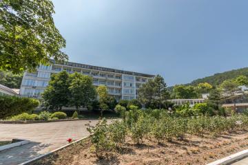 Отель Санаторий Архипо-Осиповка Россия, Геленджик, фото 5