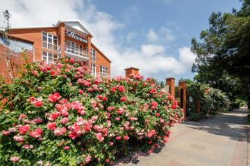 Отель Ассоль Россия, Геленджик, фото 4