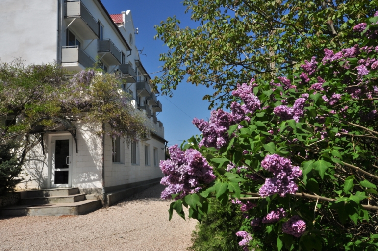 Пансионат Афалина (Фиолент)