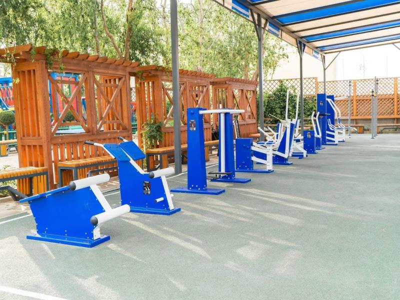 Афалина (пр. Пионерский)