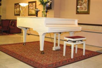 Отель Аэростар Россия, Москва, фото 12