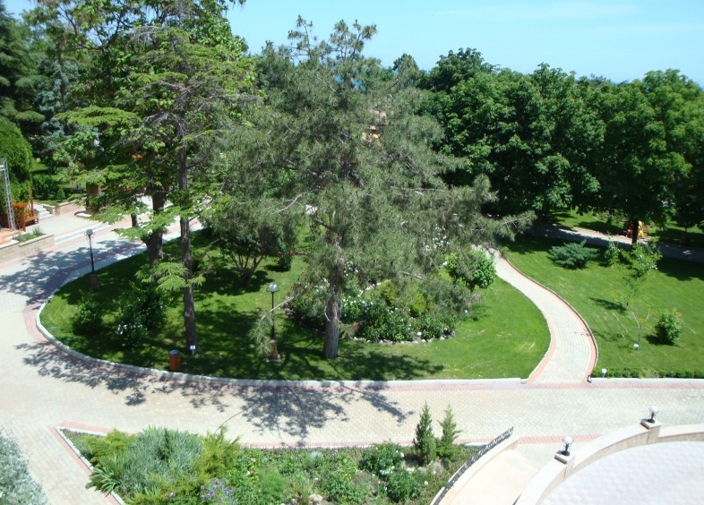 Алые Паруса