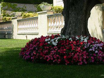 Van der Valk hotel Restaurant Barcarola