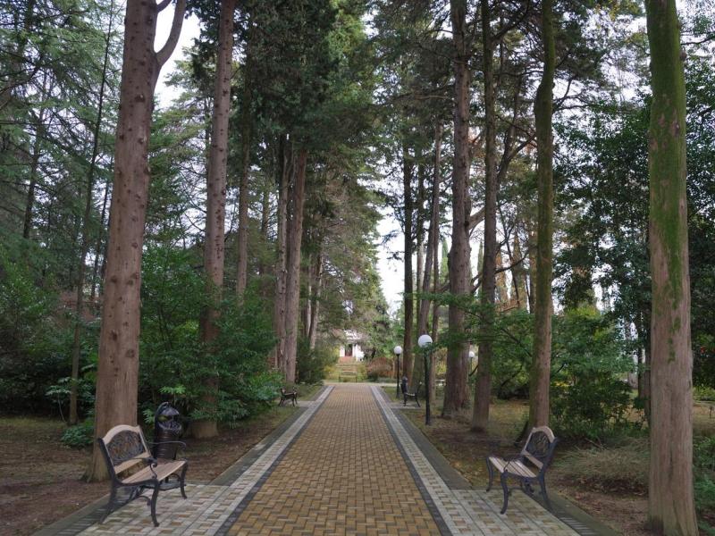 Беларусь санаторий