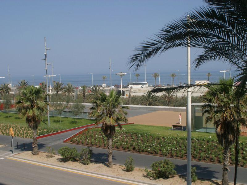 Occidental Atenea Mar