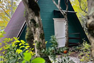 Отель Бирюза-Юг Россия, Геленджик, фото 14