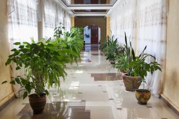 Отель Санаторий Буг Беларусь, Брестская область, фото 8