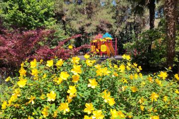 Отель Пансионат Бургас Россия, Кудепста, фото 28