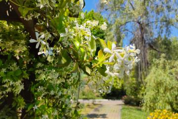 Отель Пансионат Бургас Россия, Кудепста, фото 33