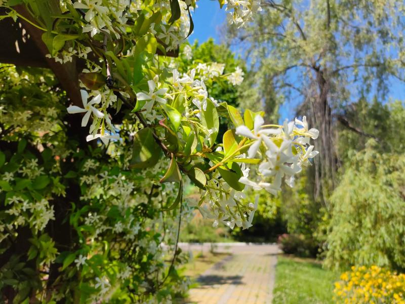Пансионат Бургас