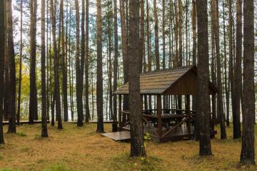Отель Бурдугуз парк-отель Россия, Иркутская область, фото 25