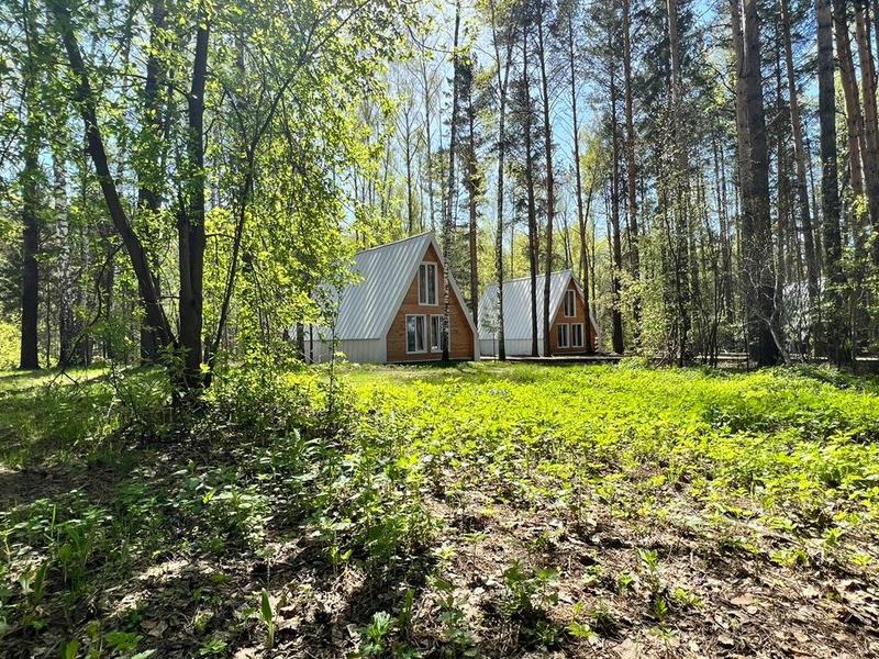 Хвоя (Бердск)