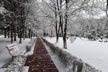 Отель Санаторий Вилла Арнест Россия, Кисловодск, фото 3