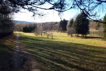 Отель Санаторий Вилла Арнест Россия, Кисловодск, фото 6