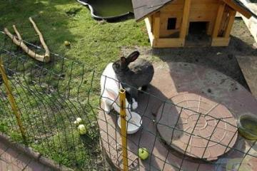 Отель Гостевой дом Элиза Заркау Россия, Куршская коса, фото 17