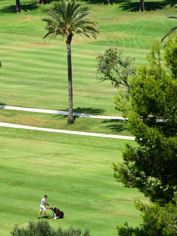 Barcelo Marbella