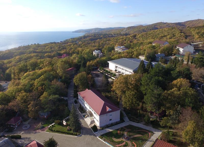 Восток (Новомихайловский)