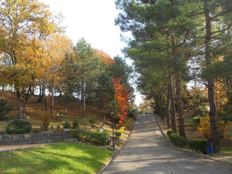 Восток (Новомихайловский)