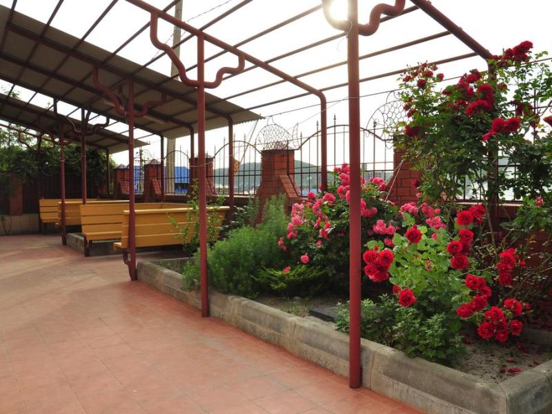 Галина (Сукко)