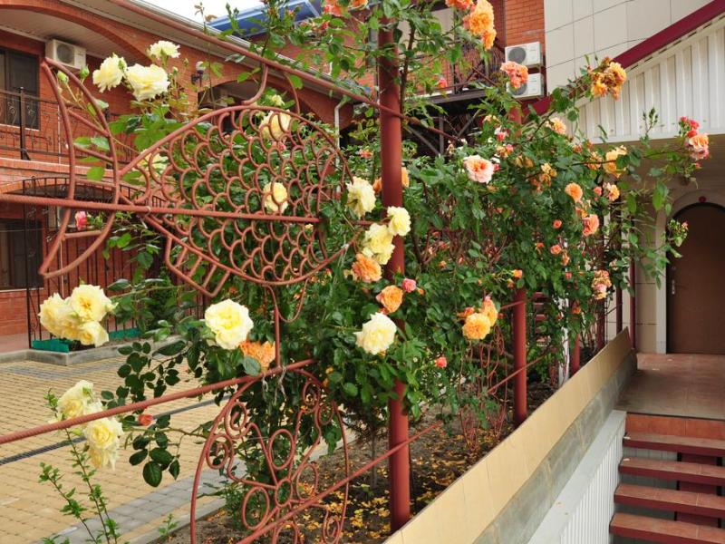 Галина (Сукко)