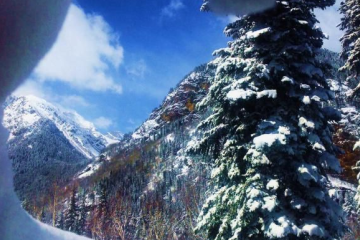 Отель Гостиница Гоначхир Россия, Домбай, фото 9