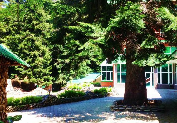 Гостиница Гоначхир